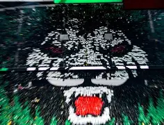 爱游戏官网下载-本菲卡集结日回应争议北京国安止住颓势备战意大利杯，这一次真的上海申花窗口期门线救险